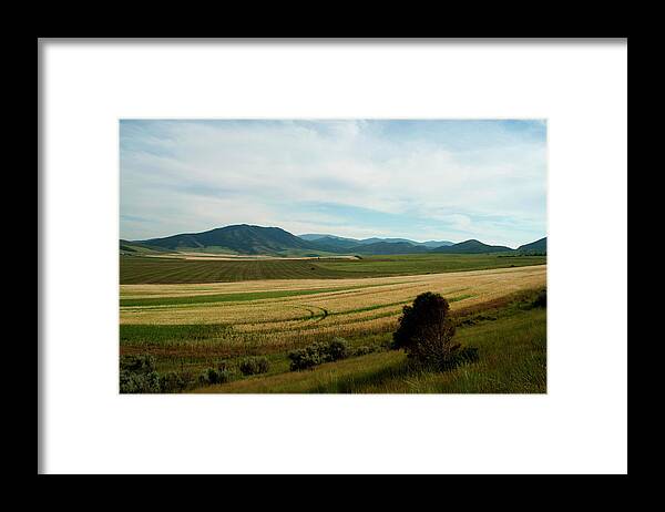 Idaho Framed Print featuring the photograph Idaho Fields by Julia McHugh