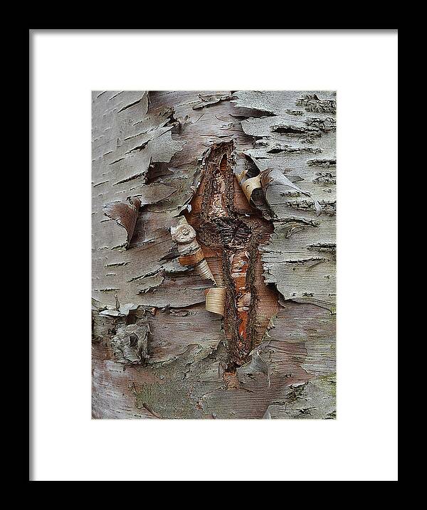 Wood Framed Print featuring the photograph Idiosynchratic Process by Char Szabo-Perricelli