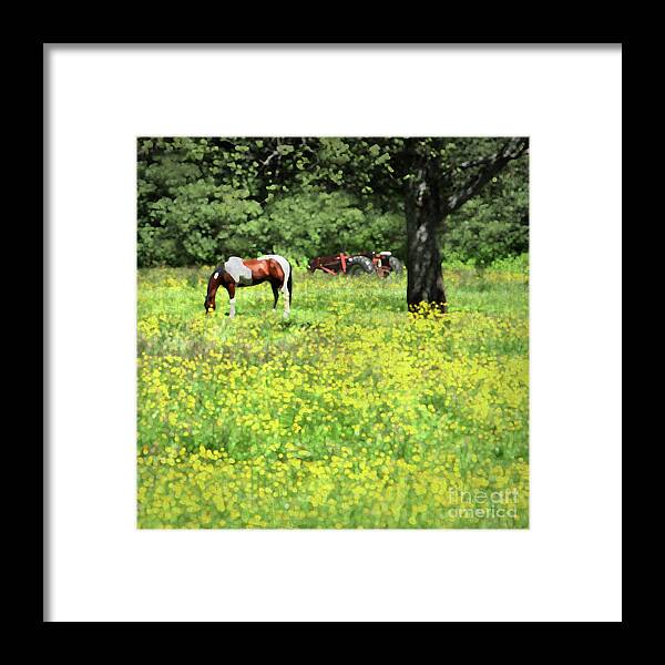 Horse Framed Print featuring the digital art Idyllic by Michelle Twohig