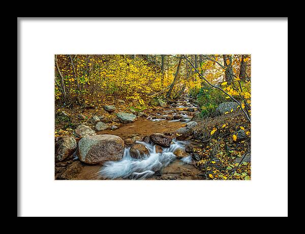 Fall Colors Framed Print featuring the photograph If I Could Stop Time by Tim Reaves