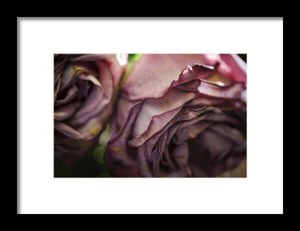 2015 Framed Print featuring the photograph If You Whisper Softly In My Ear by Sandra Parlow