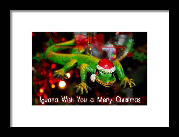 Susan Vineyard Framed Print featuring the photograph Iguana Wish You A Merry Christmas by Susan Vineyard
