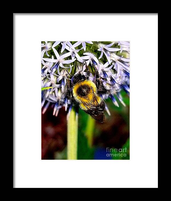 Sea Framed Print featuring the photograph I'll Bee Back by Michael Graham