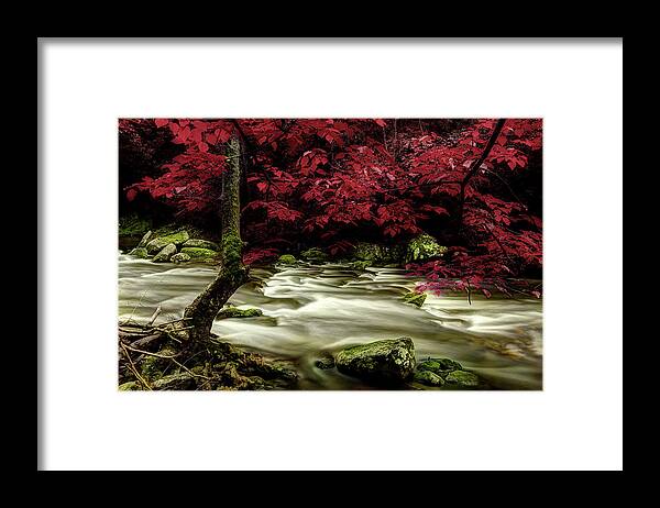 Tennessee Stream Framed Print featuring the photograph I'll Wait For Your Return by Mike Eingle