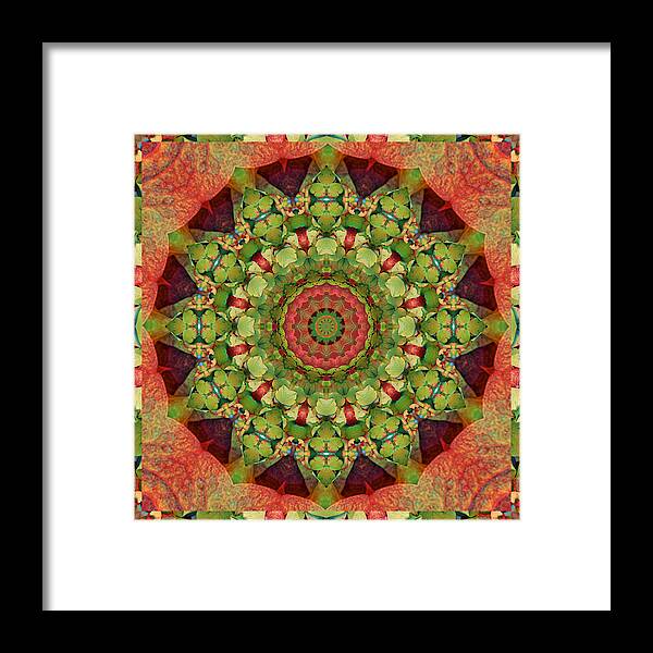 Mandalas Framed Print featuring the photograph Illumination by Bell And Todd