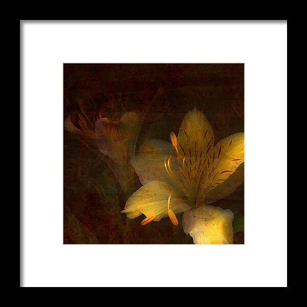 Day Lilies Framed Print featuring the photograph Illumination by Bonnie Bruno