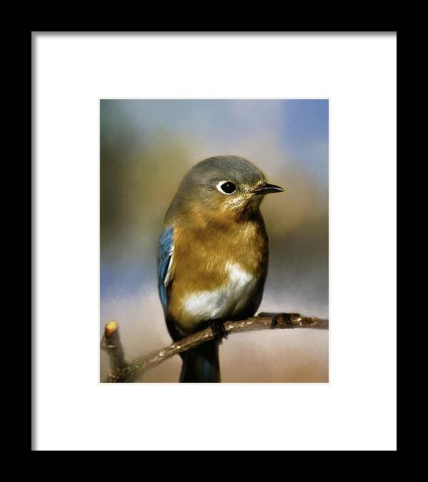 Animal Framed Print featuring the photograph I'm a Bluebird by Lana Trussell