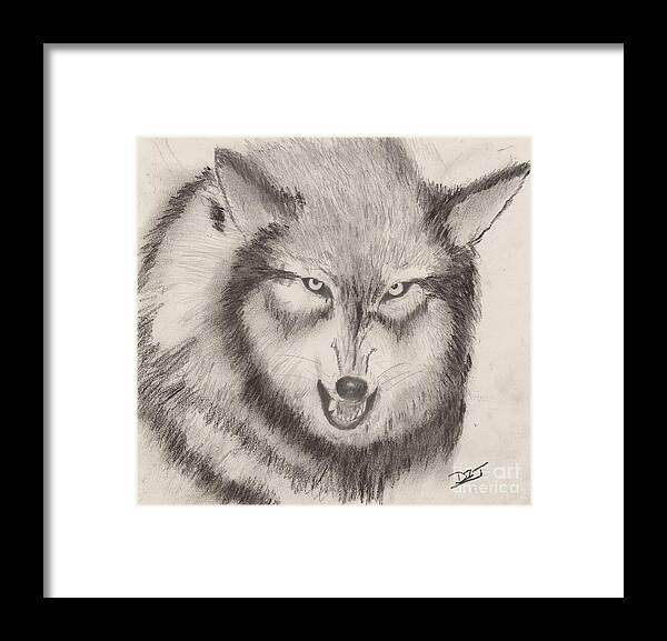 Wolf Framed Print featuring the drawing I'm Not A Dog by David Jackson