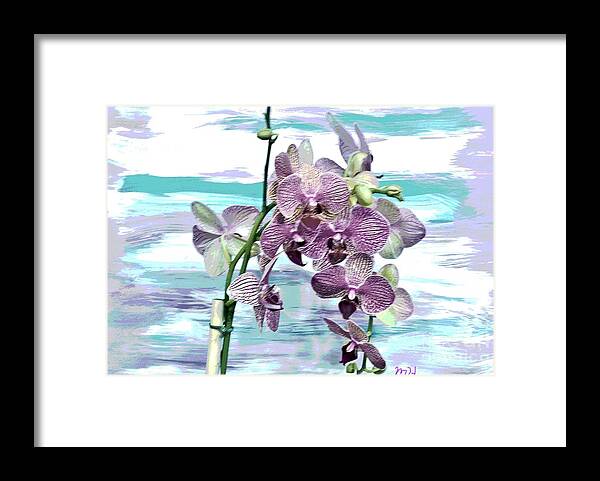 Photo Framed Print featuring the photograph Imperial Orchids by Marsha Heiken