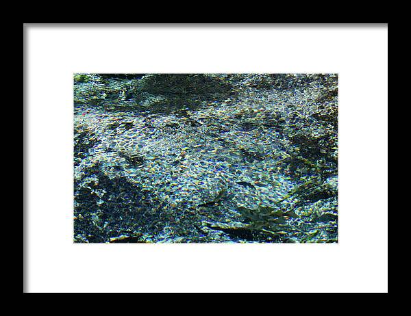 Spring Framed Print featuring the photograph Impression of Cannon Springs by Paul Rebmann