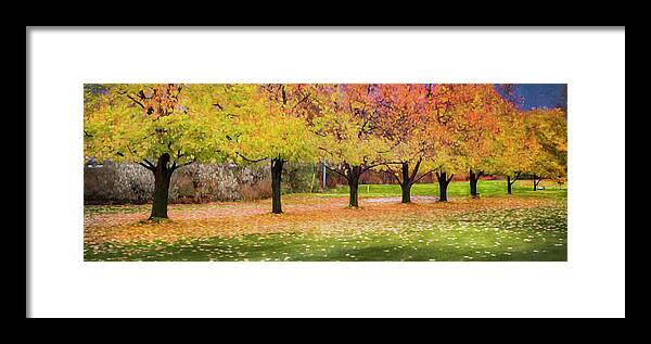 Theresa Tahara Framed Print featuring the photograph Impressionist Autumn by Theresa Tahara