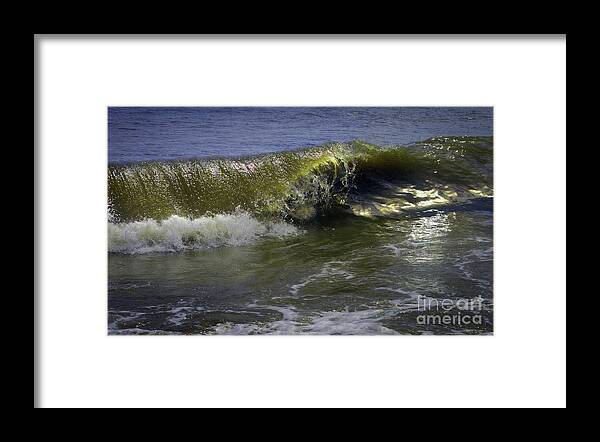 Maritime Framed Print featuring the photograph In All My Awesomeness by Skip Willits