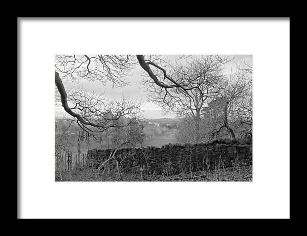 Bare Tree Framed Print featuring the photograph In December. by Elena Perelman