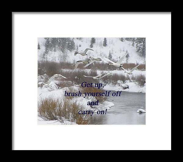 Nature Framed Print featuring the photograph In Flight Carry On by DeeLon Merritt