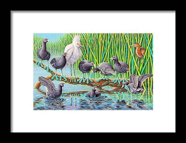 Coots Framed Print featuring the painting in Kahoots with Coots by Tish Wynne