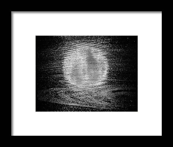Moon Framed Print featuring the photograph In Moonlight B W by Pamela Newcomb