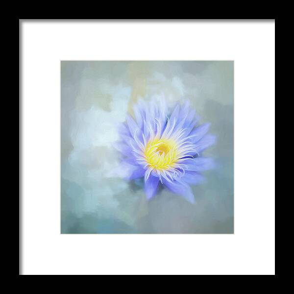 Waterlily Framed Print featuring the photograph In My Dreams. by Usha Peddamatham