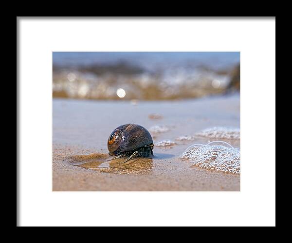 Bubbles Framed Print featuring the photograph In My Way by Brad Boland