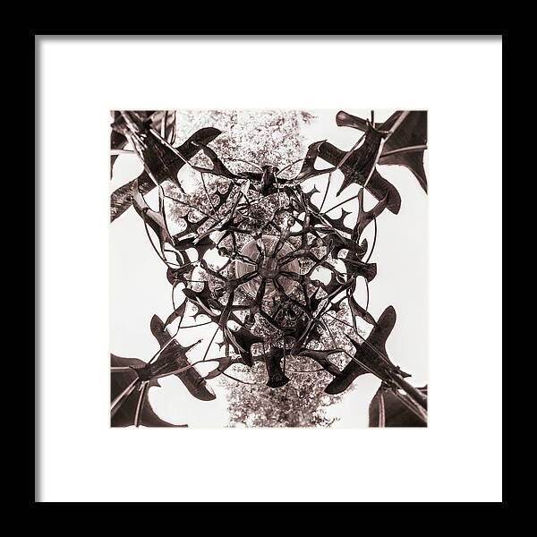 Birds Excited Into Flight Framed Print featuring the photograph In the Center of Seven under Birds BW - Tiny Planet by Chris Bordeleau