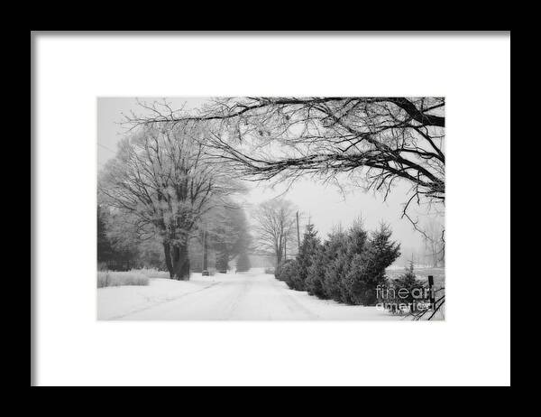 Country Framed Print featuring the photograph In the Country by Cathy Beharriell