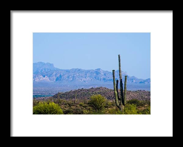 Desert Framed Print featuring the photograph In the Desert by Tom Potter