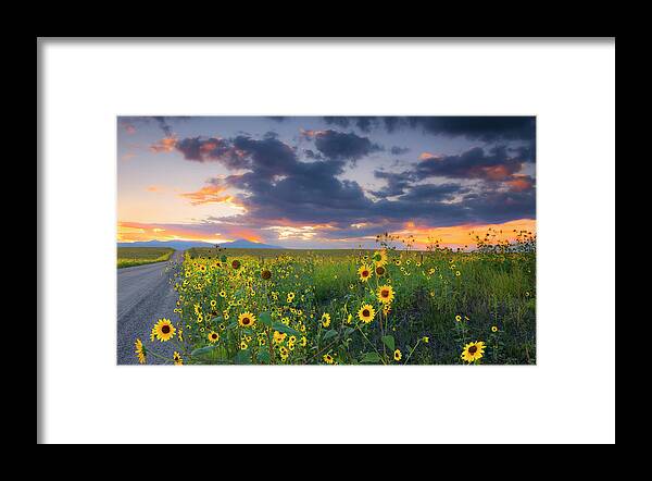 Evening Framed Print featuring the photograph In The Evening Light by Tim Reaves