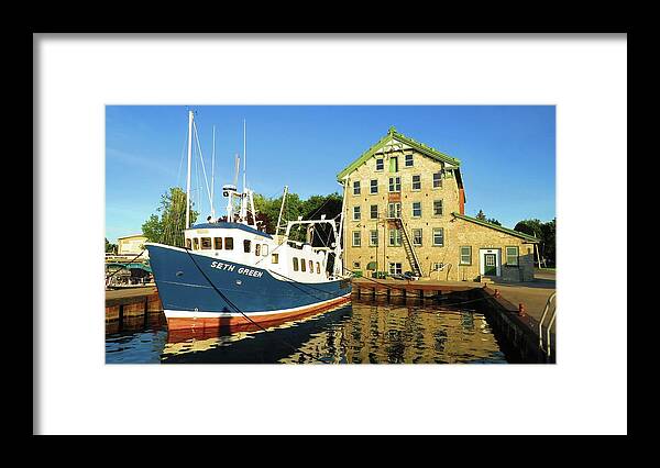 Cape Vincent Framed Print featuring the photograph In the Evening Sun by Dennis McCarthy