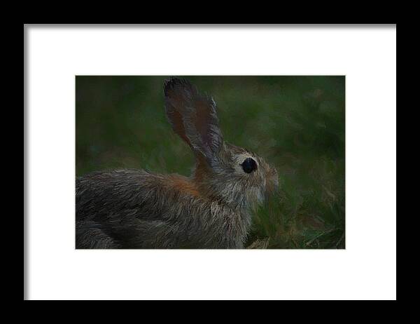 Rabbit Framed Print featuring the digital art In The Grass 4 by Ernest Echols