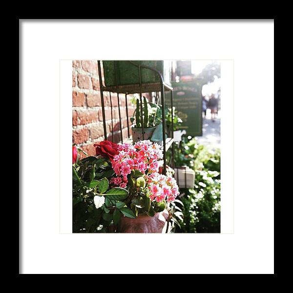 Street Framed Print featuring the photograph In The Morning In by Lion Miyauchi