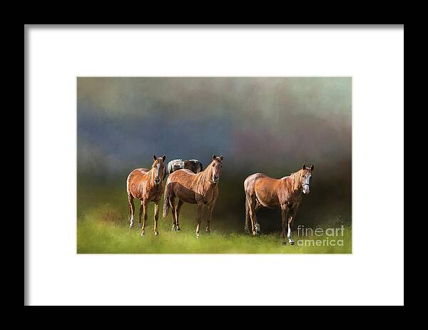 Horses Framed Print featuring the photograph In the Morning Light by Eva Lechner