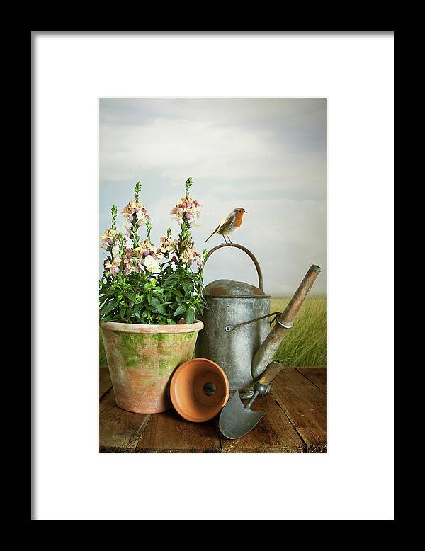 Garden Framed Print featuring the photograph In The Vintage Garden by Ethiriel Photography