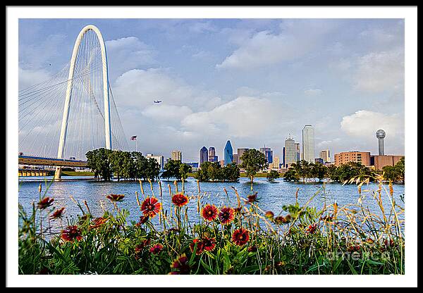 dallas Framed Print featuring the photograph Indian Blanket Overlooking Dallas by Tamyra Ayles