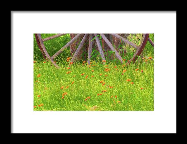 East Dover Vermont Framed Print featuring the photograph Indian Paintbrush Flowers by Tom Singleton