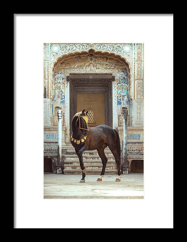 Russian Artists New Wave Framed Print featuring the photograph Indian Treasure by Ekaterina Druz