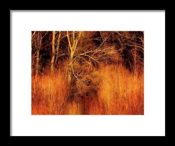 Trees Framed Print featuring the photograph Inferno by Wim Lanclus
