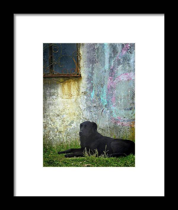 Ecuador Framed Print featuring the photograph Ingapirca Incan Ruins 41 by JustJeffAz Photography