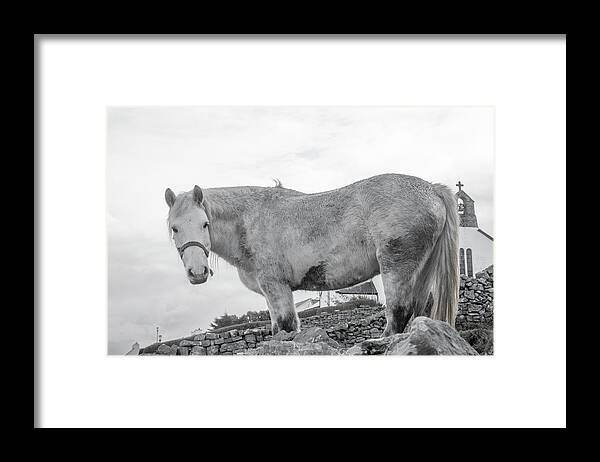 Horse Framed Print featuring the photograph Inis Mor Old Spirit by Betsy Knapp