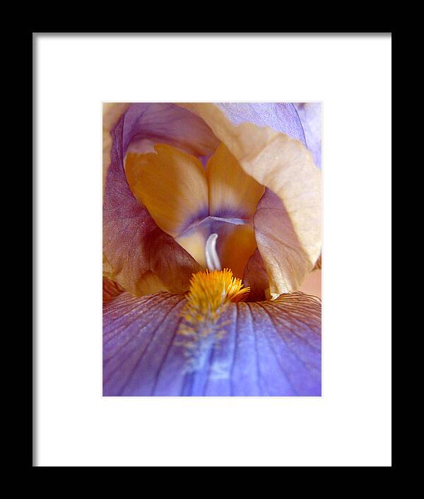 Iris Macro Framed Print featuring the digital art Inner Iris Series, Yellow Purple by Jana Russon