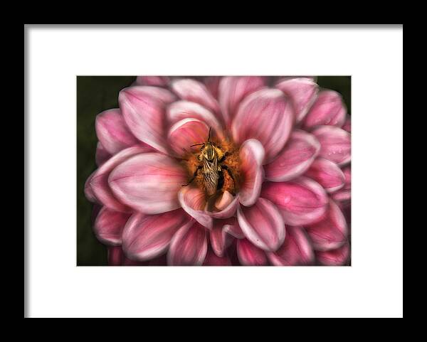 Savad Framed Print featuring the photograph Insect - Bee - Center of the Universe by Mike Savad