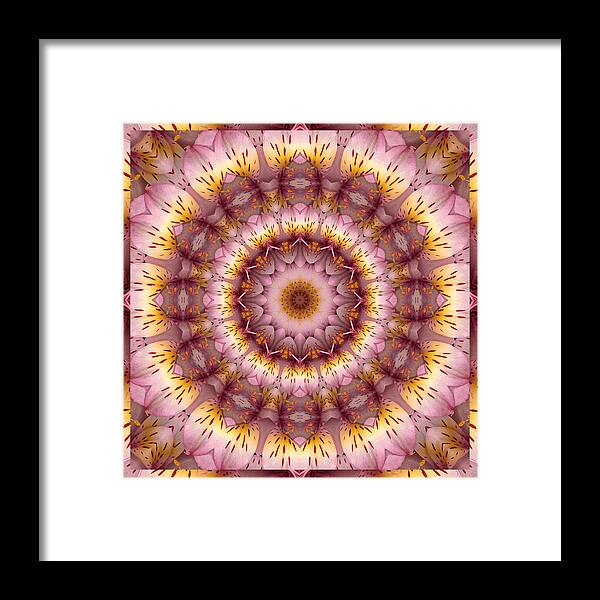 Mandalas Framed Print featuring the photograph Inspiration by Bell And Todd