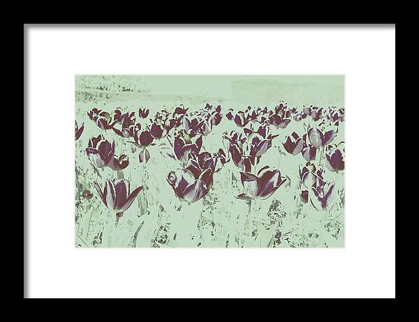 Flowers Framed Print featuring the photograph Interplay by HweeYen Ong