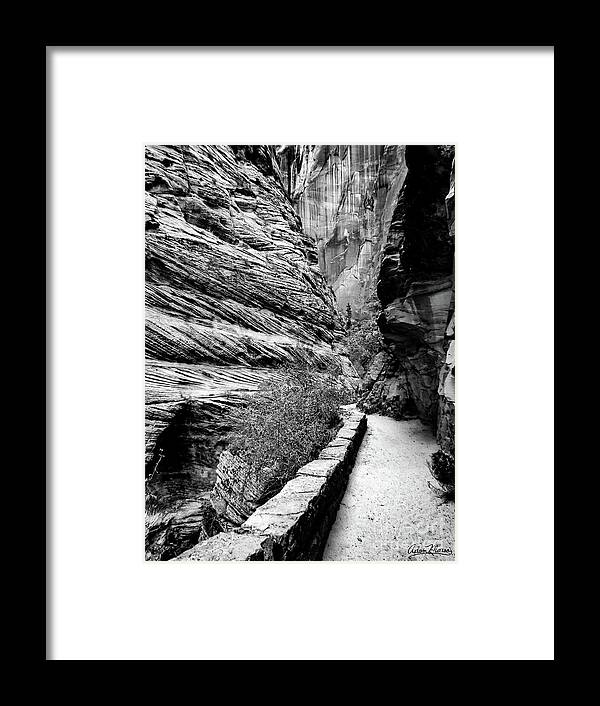 Zion Framed Print featuring the photograph Journey, Black and White by Adam Morsa