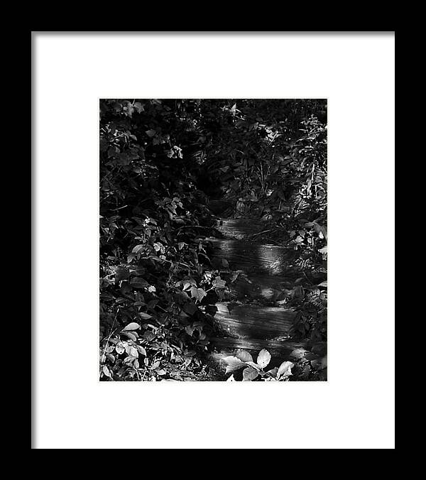 Wooded Stairs Framed Print featuring the photograph Into the Shadows by Scott Heister