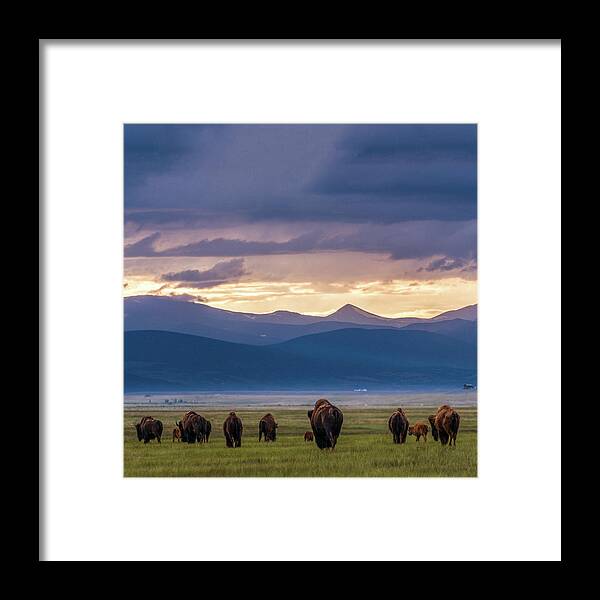 American West Framed Print featuring the photograph Into the sunset by Chris Bordeleau