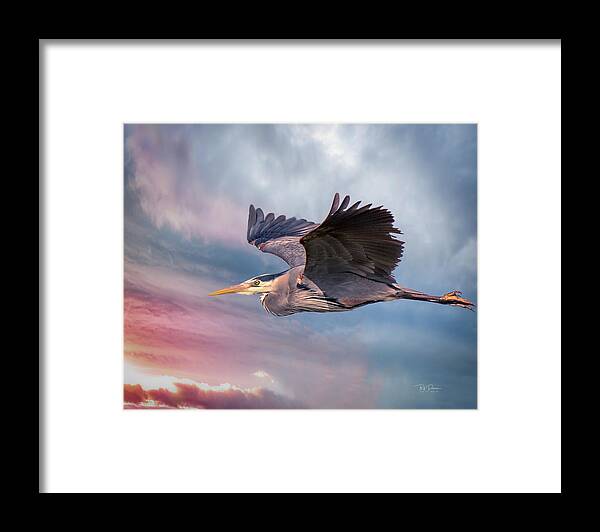 Oregon Framed Print featuring the photograph Into the Wild by Bill Posner