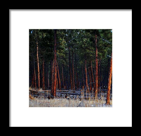 Landscape Framed Print featuring the digital art Into the Woods by Kae Cheatham