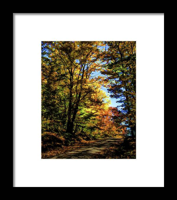 2006 Framed Print featuring the photograph Into the Woods by Monroe Payne