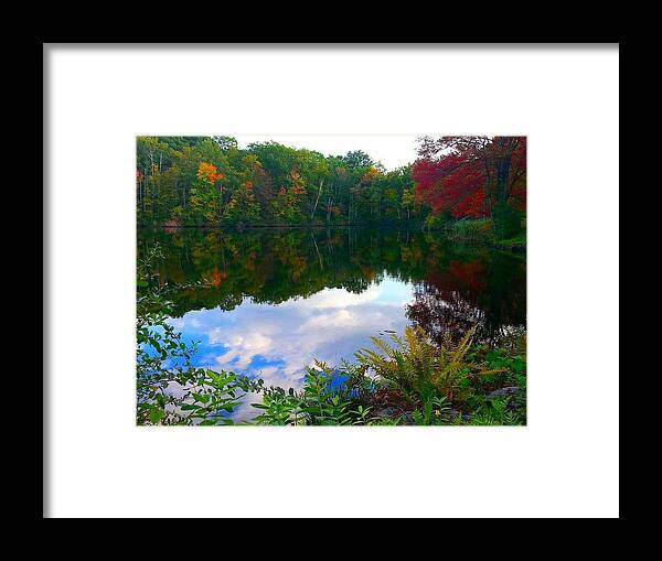 Autumn Framed Print featuring the photograph Introvert by Dani McEvoy