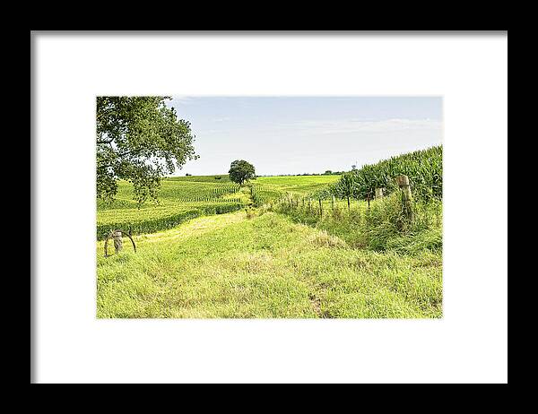 Corn Framed Print featuring the photograph Iowa Corn Field by Scott Hansen