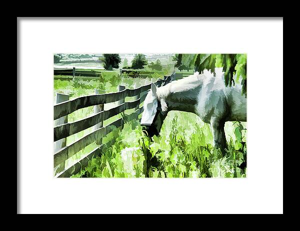 Horse Framed Print featuring the digital art Iowa Farm Pasture and White Horse by Wilma Birdwell